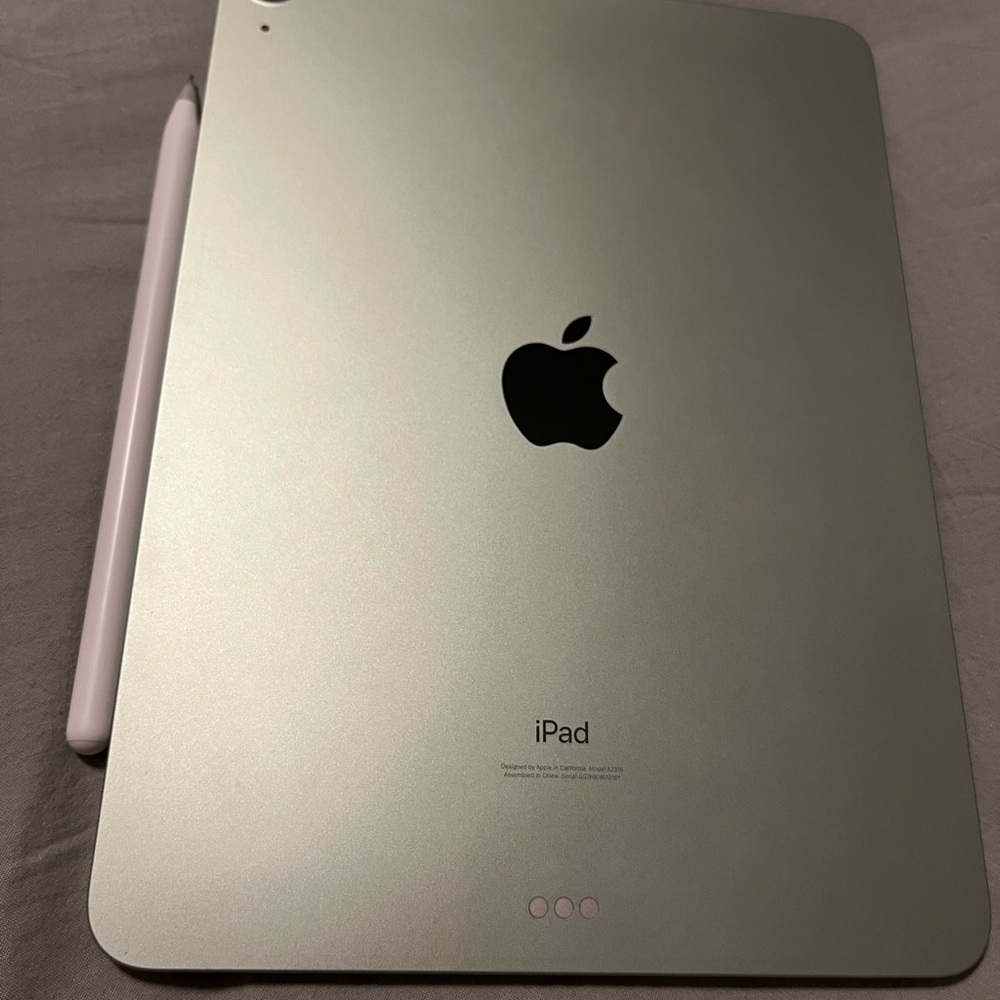 Apple iPad Air 4th Generation 256 GB WiFi only
